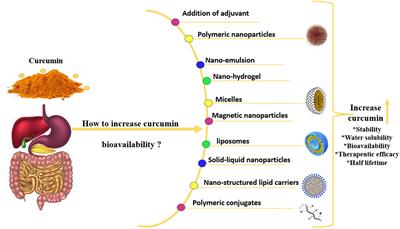 Impacts of turmeric and its principal bioactive curcumin on human health: Pharmaceutical, medicinal, and food applications: A comprehensive review